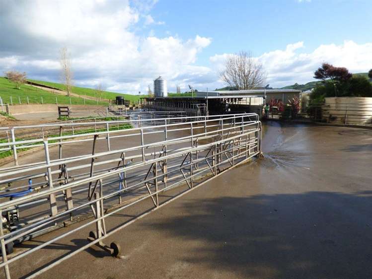 203/219 Paewhenua Road Maihiihi_30