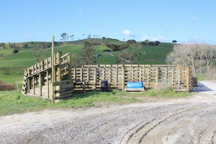 293 Lindquist Road Otamatea Surrounds_13