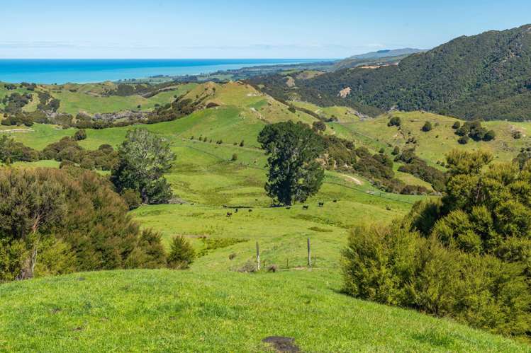 600 Hundalee Road Kaikoura_1