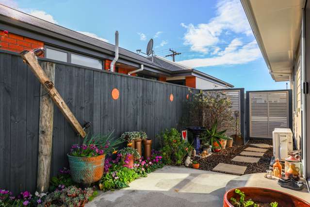 22a Elzy Street Blenheim Central_3