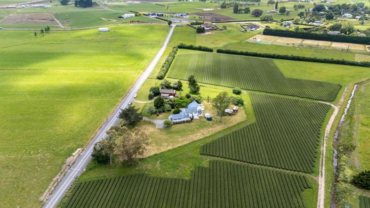 55 Boyd Road Gordonton_41