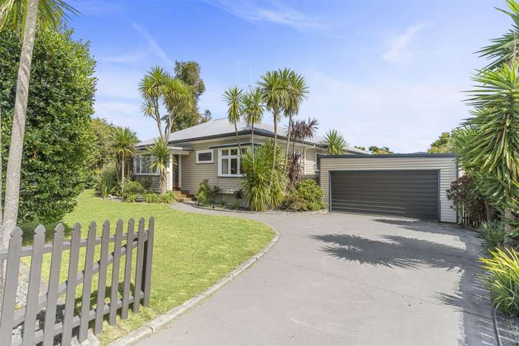 13 Belvedere Street Te Puke_15