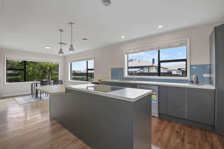 74 Muller Road Blenheim_4