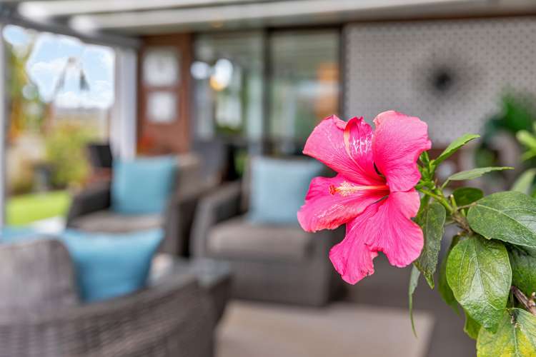 10 Timara Avenue Tikipunga_18