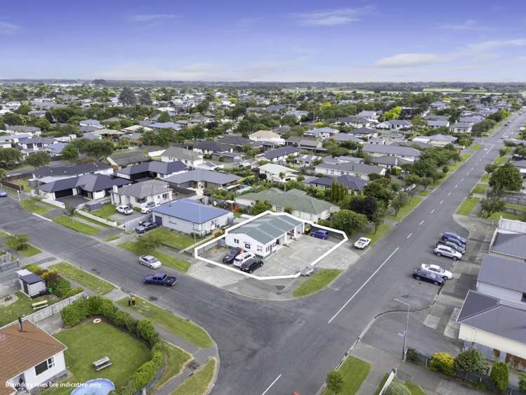 46 Ward Street Waverley_2