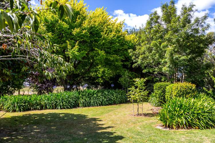 21 Bevan Street Woodville_11