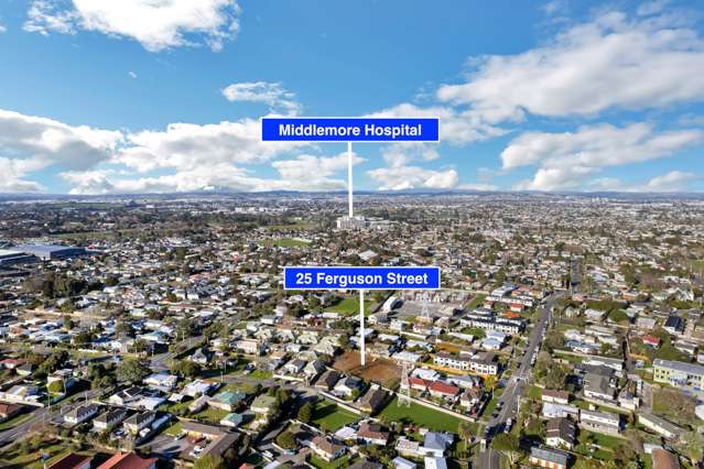 25 Ferguson Street Mangere East_4