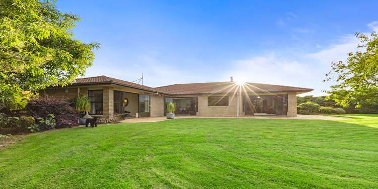 617a Esdaile Road Whakamarama_20