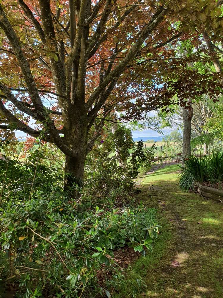 48 Tapapa Road Tapapa_19