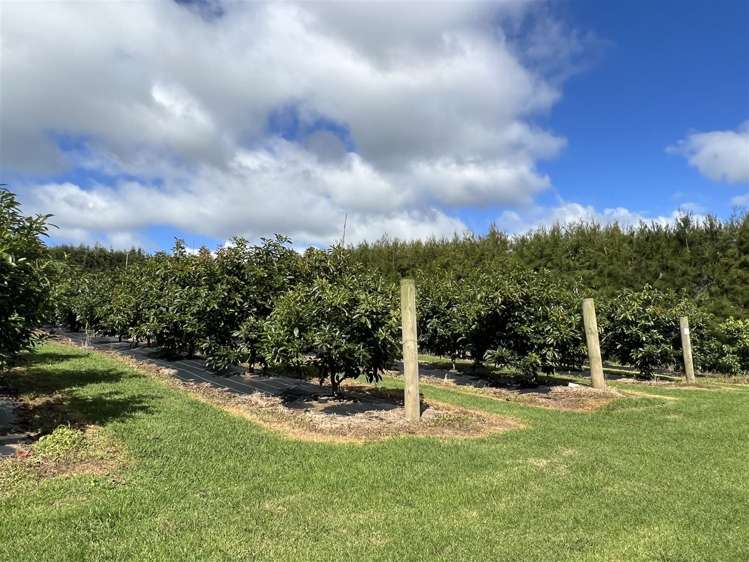 565 Kerikeri Road Kerikeri_5