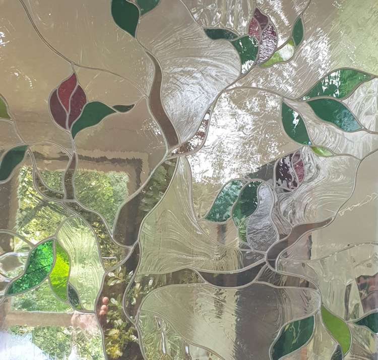 62 Chatham Avenue Paremoremo_16