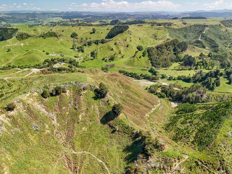 Longacre Road Okoia_6