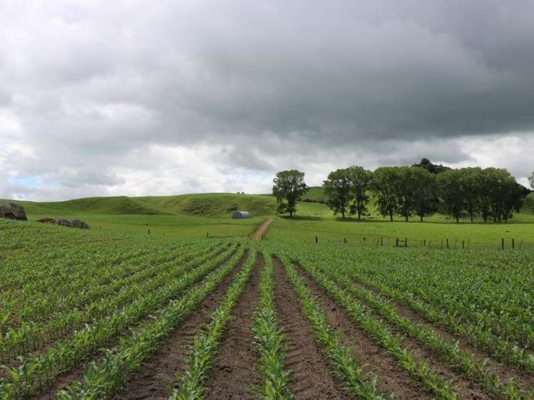 1190 Lake Arapuni Road Putaruru_40