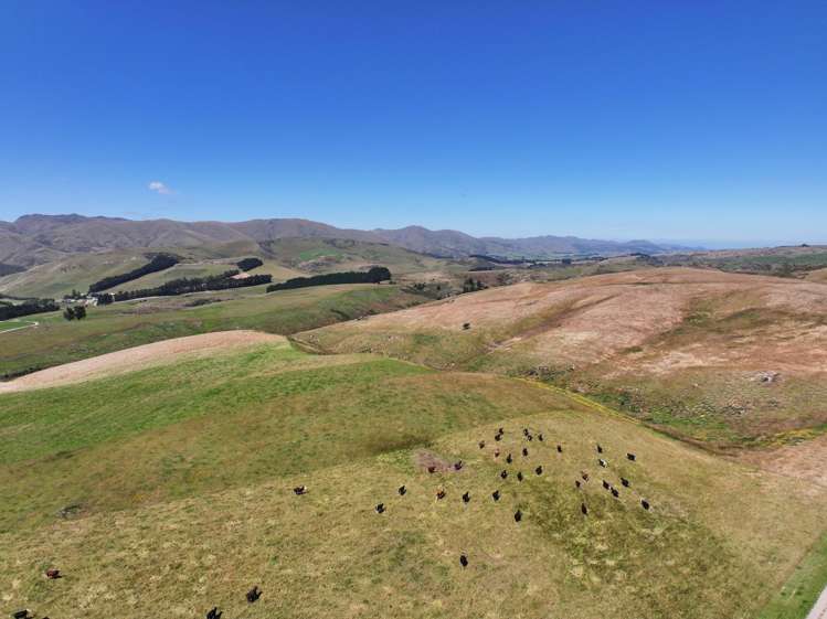 189 Pringles Road, Green Valley Palmerston_23