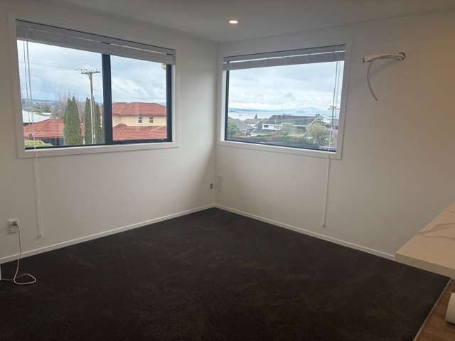 18 Mere Road Taupo_4