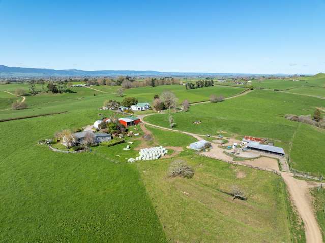 42 Morgan Road Matamata_3