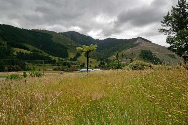 Wakamarina Road Havelock_2