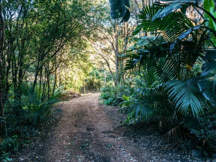 55 Te Toki Road Ostend_16