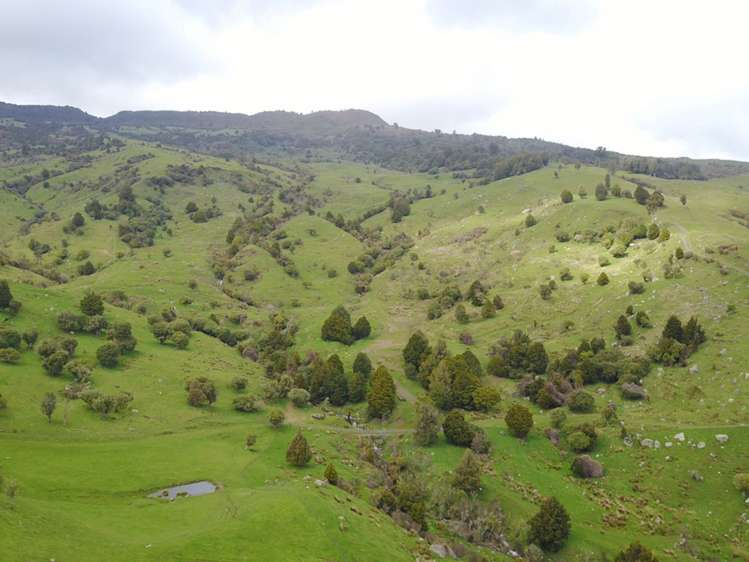 Mangakahu Valley Road Waimiha-Ongarue_16