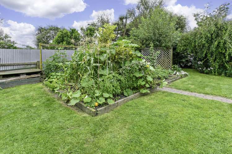 713 Seddon Street Raureka_22