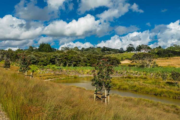 5 Bight Road Long Bay_12