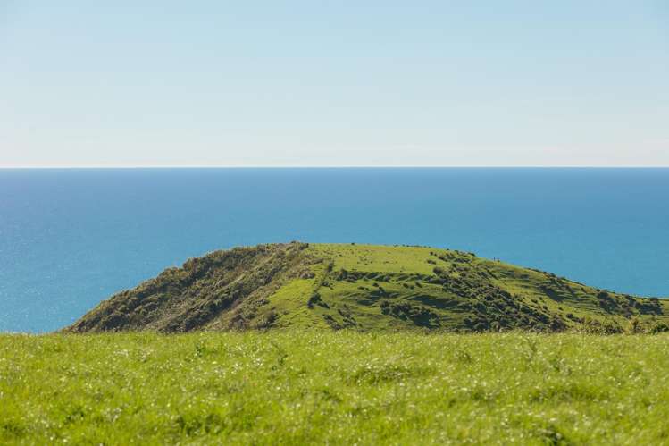 216 Constable Road Muriwai Beach_7