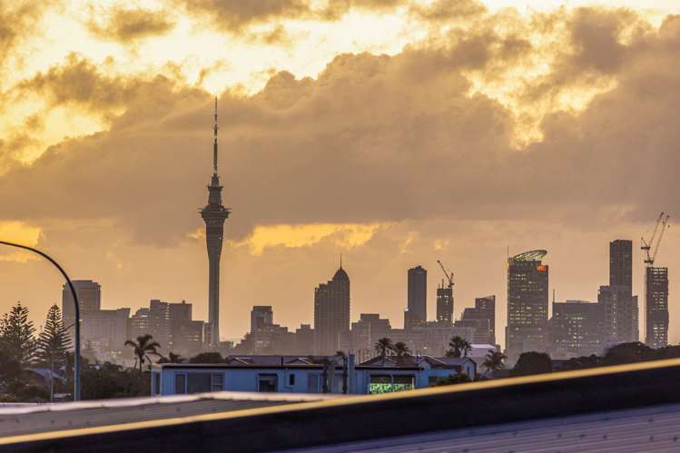 1B Colenso Place Mission Bay_25