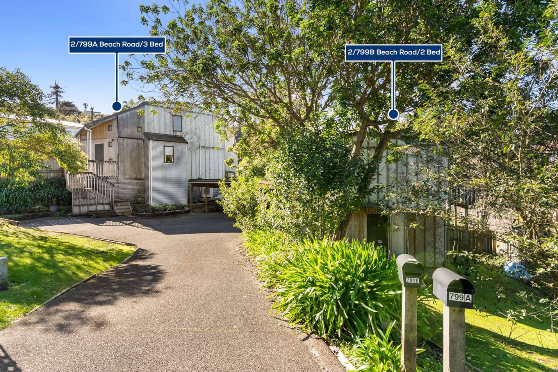 2/799 Beach Road Browns Bay_0