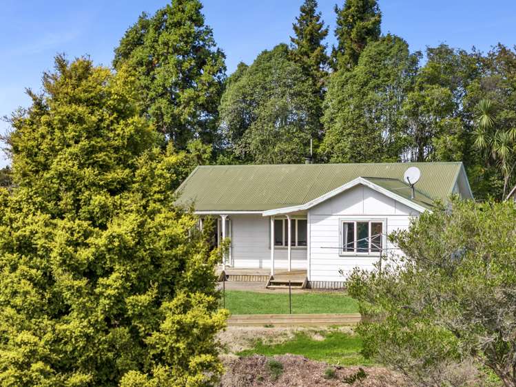 321 Tauwhare Road Tamahere_10