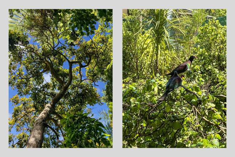 248 Ohiwa Harbour Road Opotiki_32