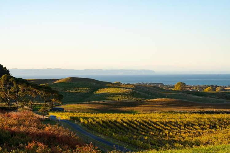 Millar Road Haumoana_13