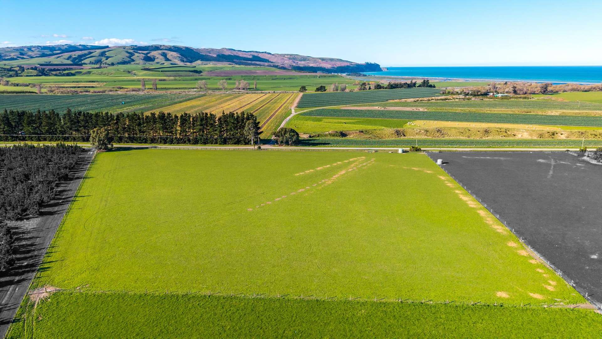 156 Webbs Road Amberley_0