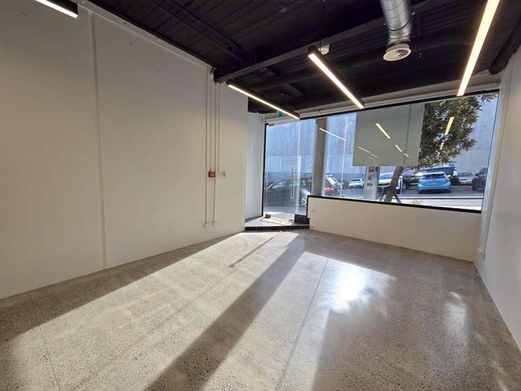 G02/12 Vinegar Lane, Grey Lynn, Auckland Grey Lynn_4