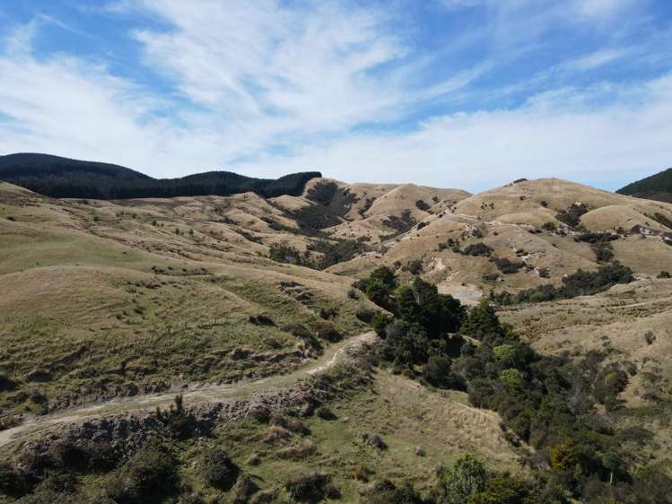 360 Speedy Road Dannevirke_6