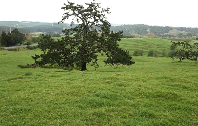 State Highway One Taupo_8