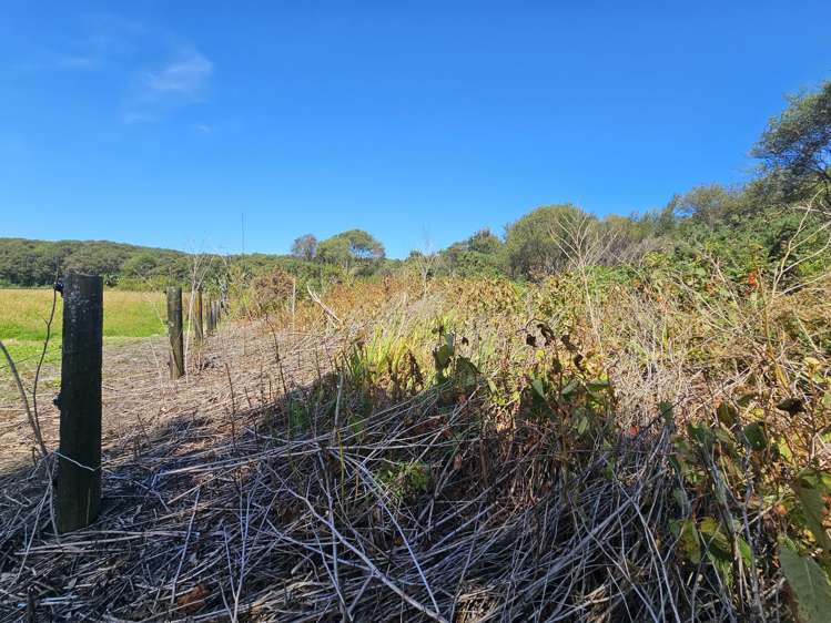 Arnold Valley Road, Stillwater Greymouth_19