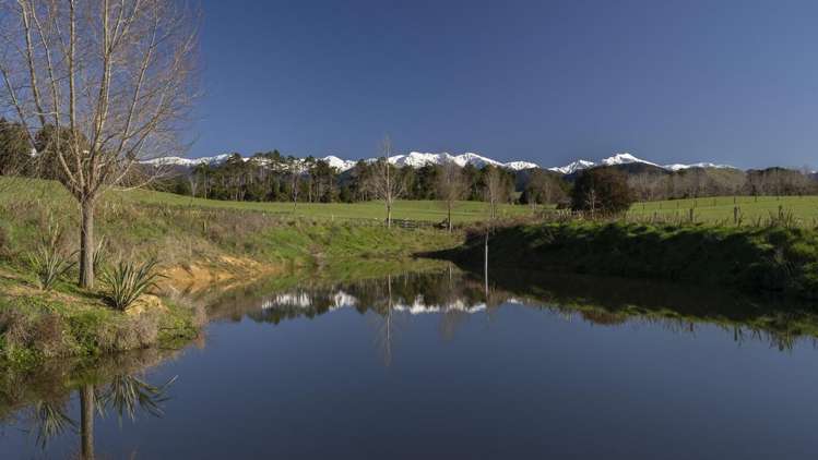 Burnetts Road Masterton_2