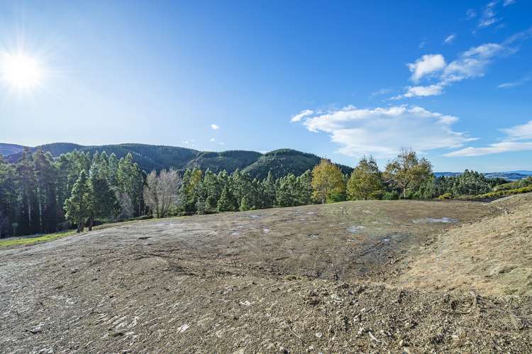 255 Glentui Bush Road Glentui_12