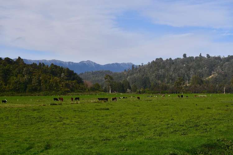 106 Granite Creek Road Karamea_13