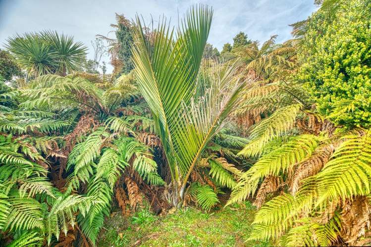 53B Rutherglen Road Paroa_12