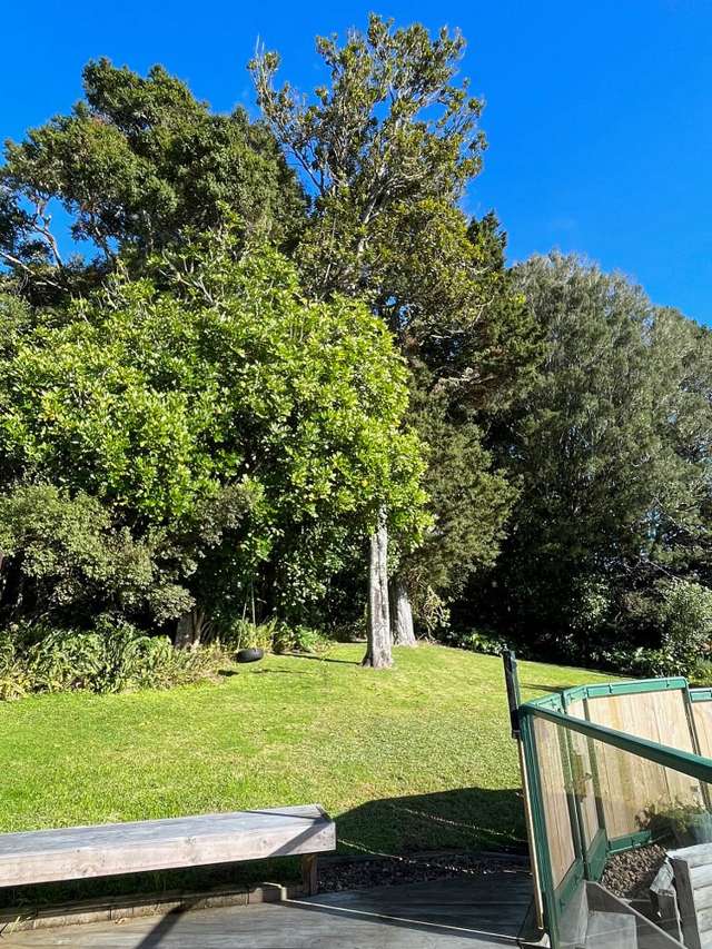 41 Huia Street Whau Valley_2