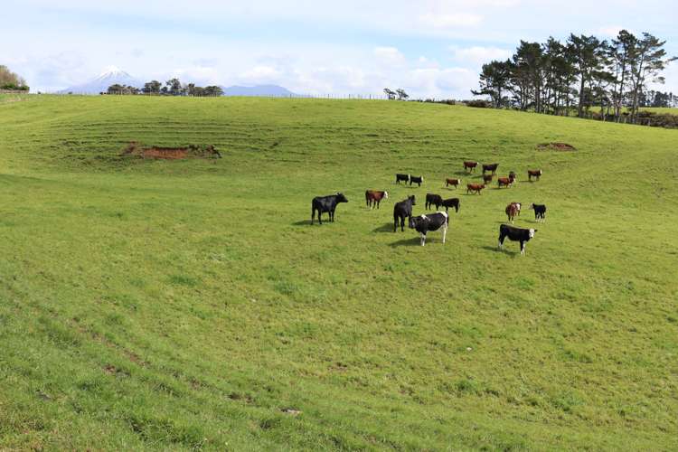 Lt2/310 Henwood Road Bell Block_20