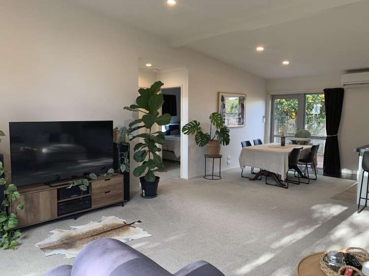 8A Vine Avenue Maungatapu_9