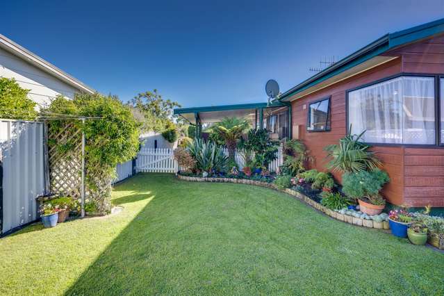 76b Guppy Road Greenmeadows_2