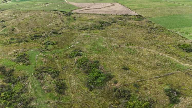 980 Wilsons Lead Road Cape Foulwind_12