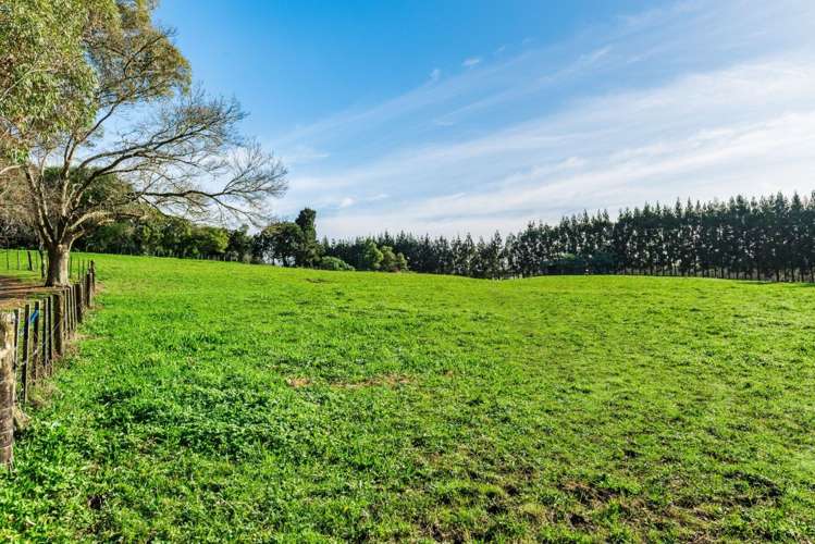 75 Fielding Road Drury_9