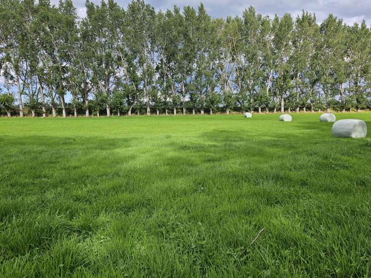 147 Chicory Road Inch Clutha_17