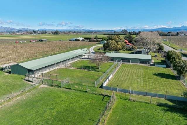519 Old Renwick Road Springlands_2