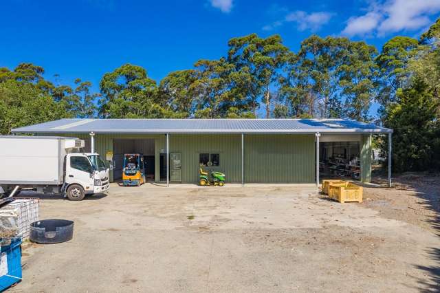 726 Matakana Road Warkworth_4