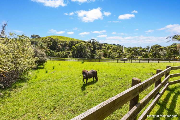 90 Kawakawa-Orere Road Clevedon_19